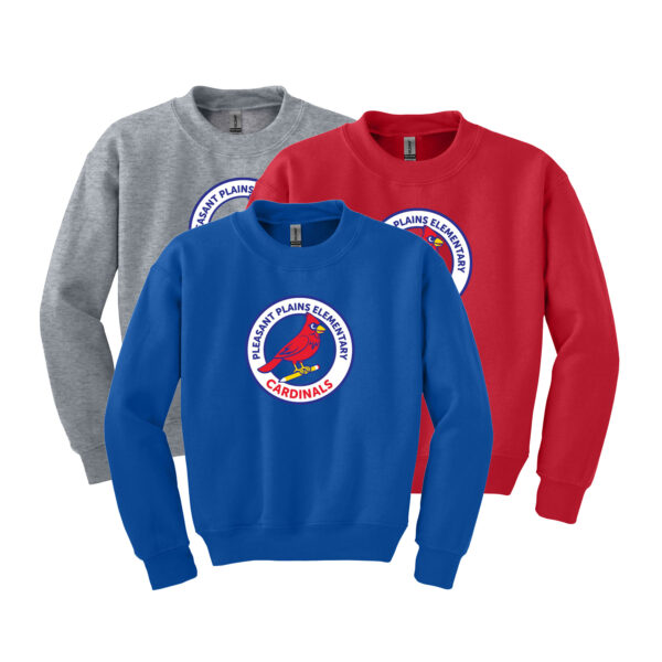 Pleasant Plains Pull-Over Sweatshirt
